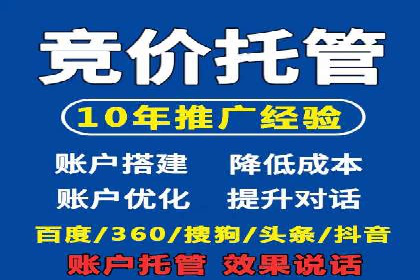 SEM投放策略优化案例分析